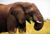 Suedafrika-Tiere-Elefant-130212-sxc-only-stand-rest-83641_1536.jpg