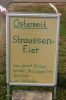 Strausse-Straussenhof-Johannsen-Winsen-2016-130421-DSC_0005.jpg